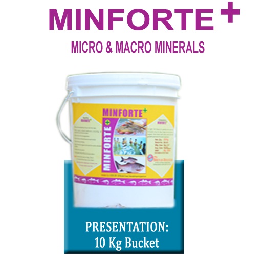 MINFORTE + - MICRO & MACRO MINERAL