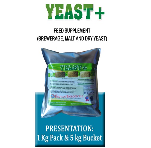 YEAST + - FEED SUPPLEMENT ( BREWERAGE, MALT AND DRY YEAST)