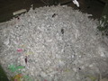 Plastic scrap shreder