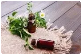 Dr. Willmar Schwabe India, Homeopathic Medicines in Delhi