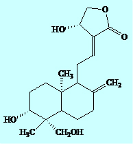 Carthamus Yellow