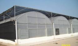Multi Span Ventilated Greenhouse Service 
