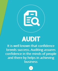 AUDIT