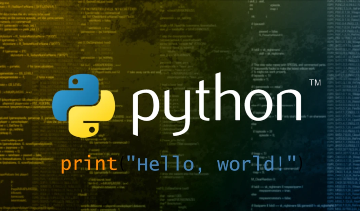 Python Developer Service