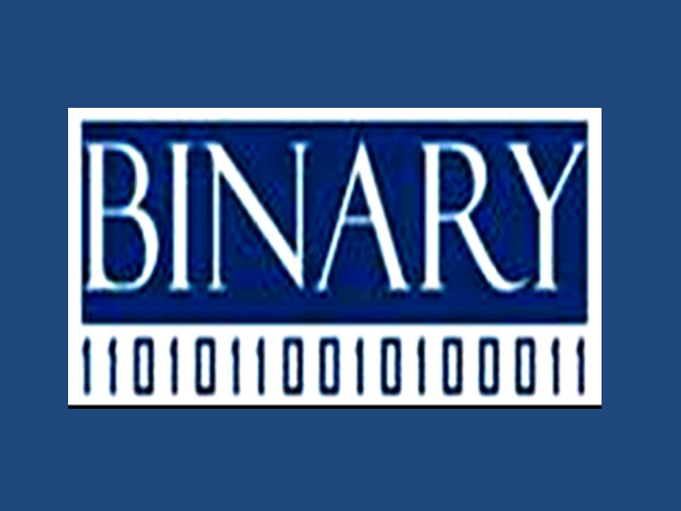 BINARY GLOBAL LIMITED