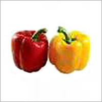 Red and Yellow Capsicum