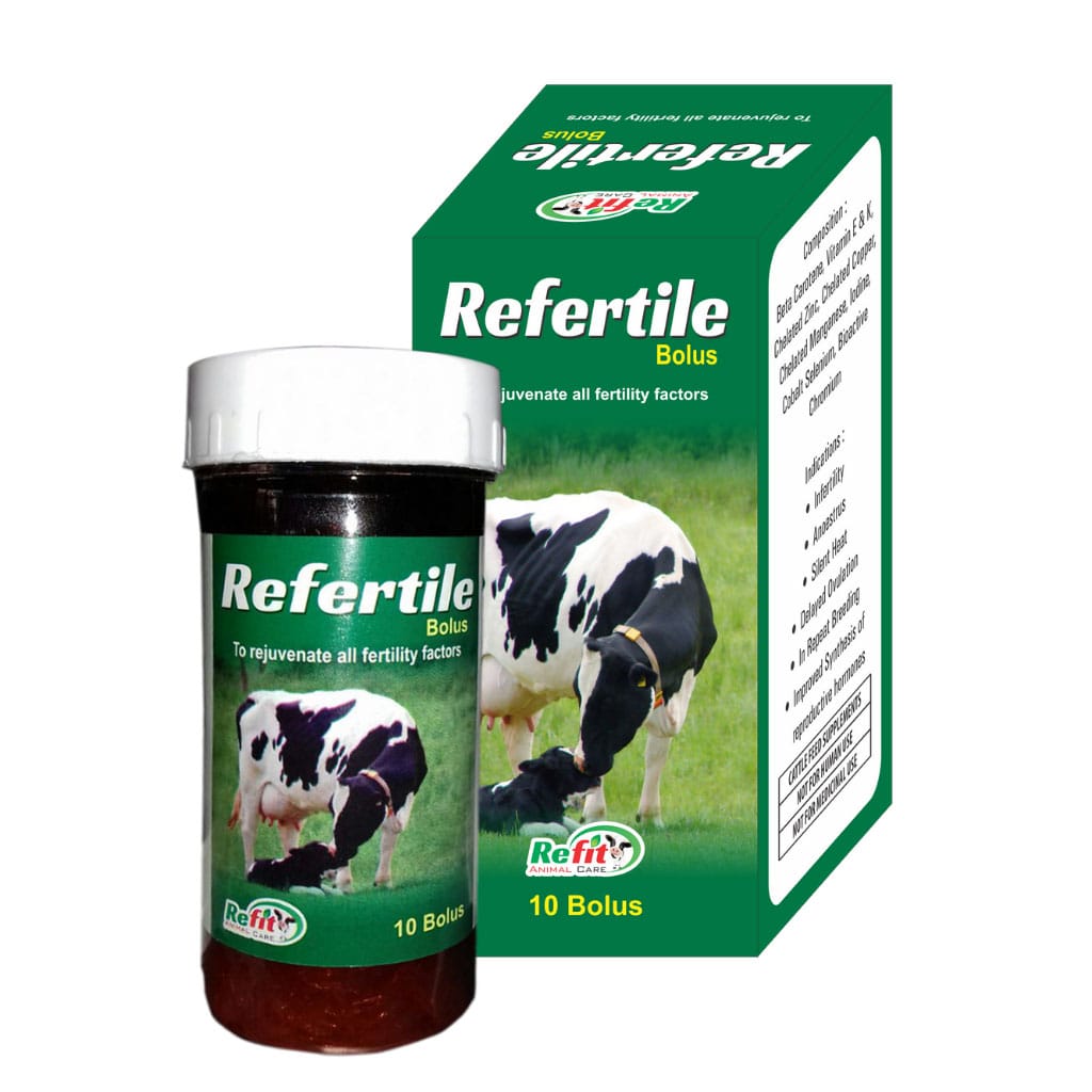 Refertile Bolus