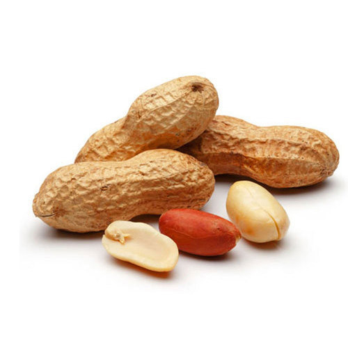 Groundnut (Peanuts)