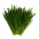 Wheatgrass