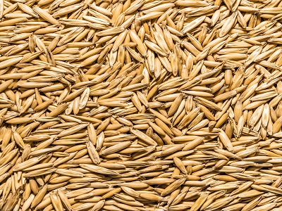 Oats Oats