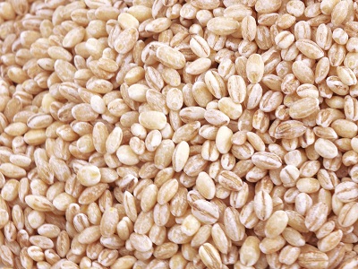 Barley Barley