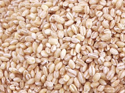 Barley