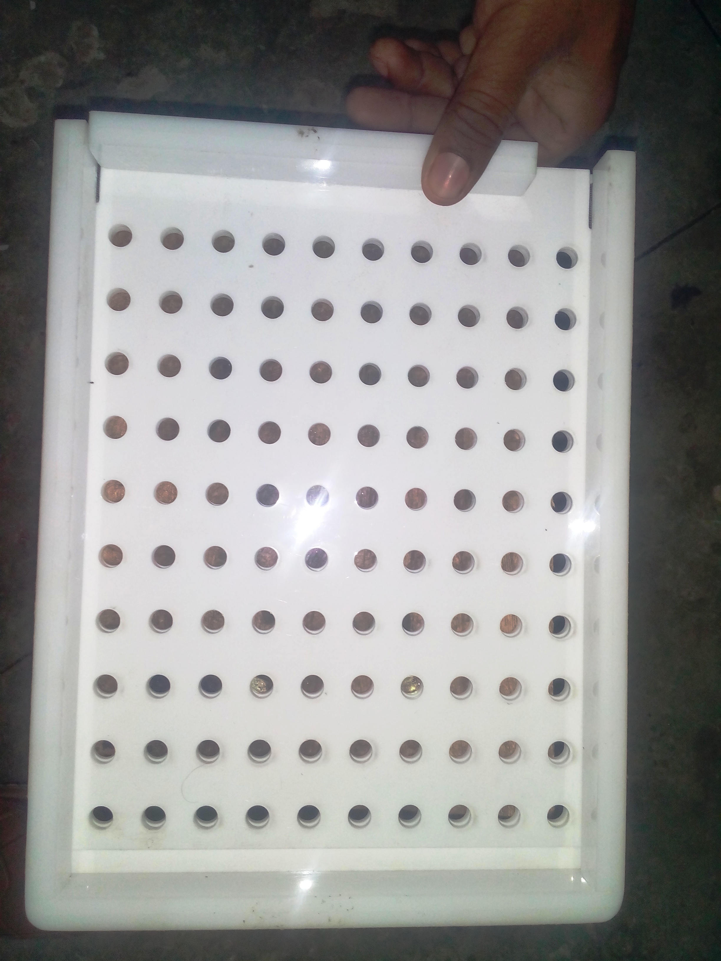 Seed Counting Board 