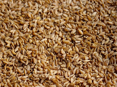 Spelt Spelt