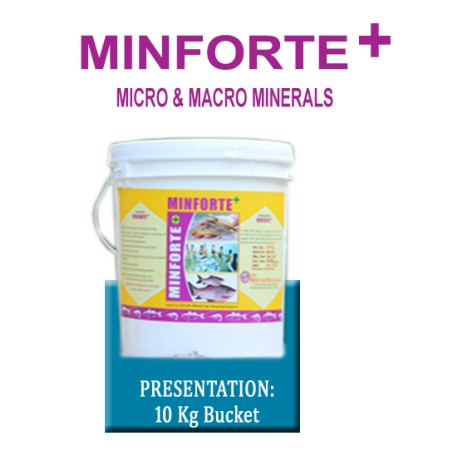 MINFORTE + - सूक्ष्म और स्थूल खनिज