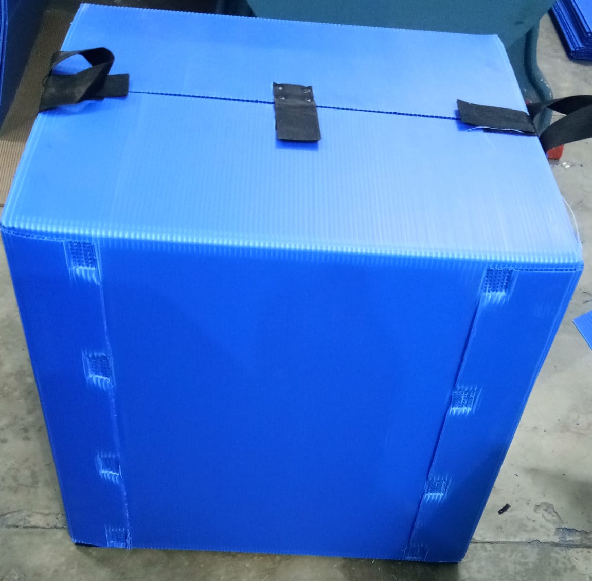 Blue PP Corrugated Box