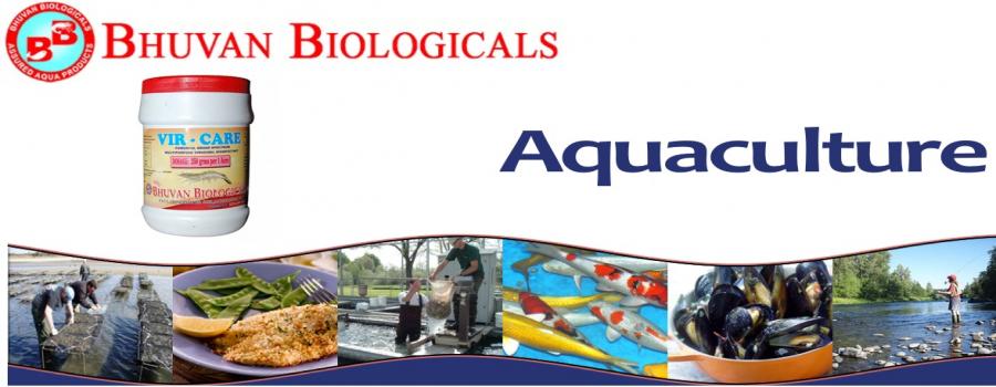 Jay Khodiyar Machine Tools Banner