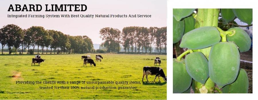 Jay Khodiyar Machine Tools Banner