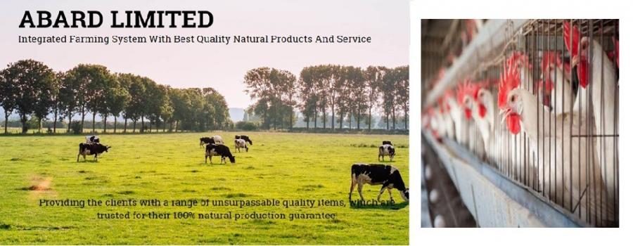 Jay Khodiyar Machine Tools Banner