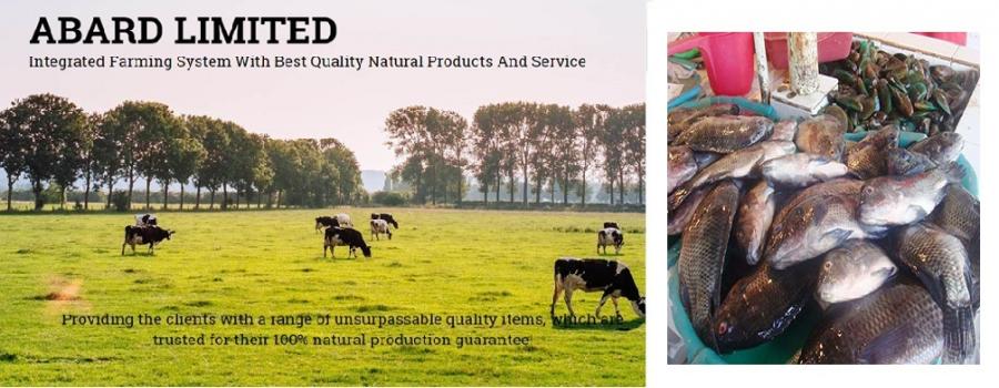 Jay Khodiyar Machine Tools Banner