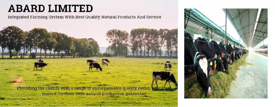 Jay Khodiyar Machine Tools Banner