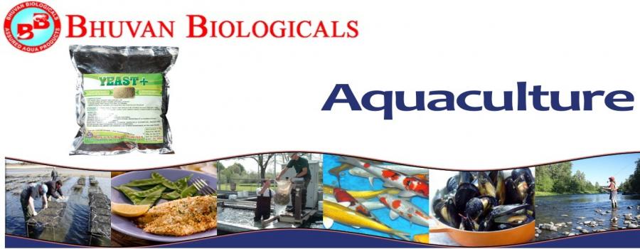 Jay Khodiyar Machine Tools Banner